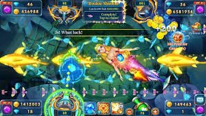 1aq1 Bingo